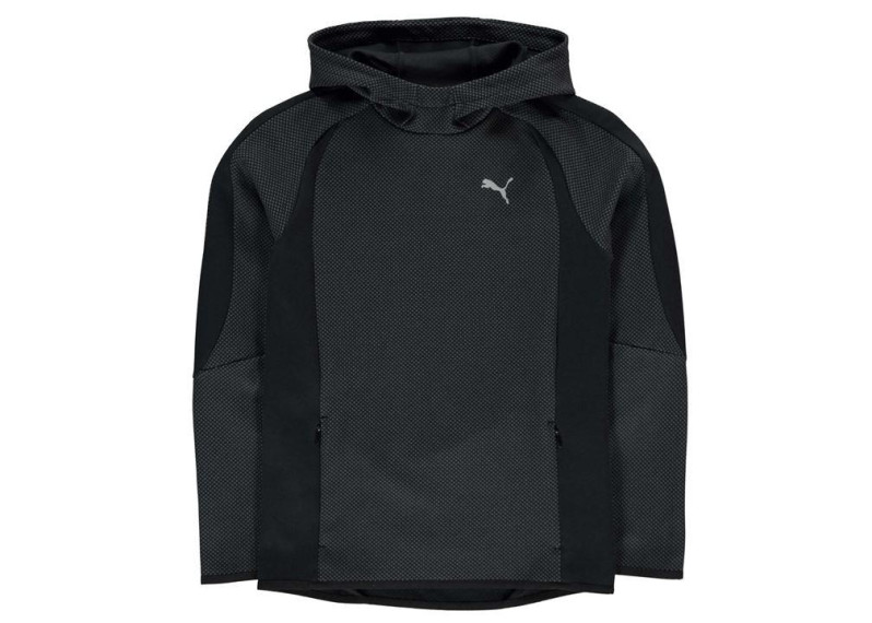 Puma EvoStripe Hoody