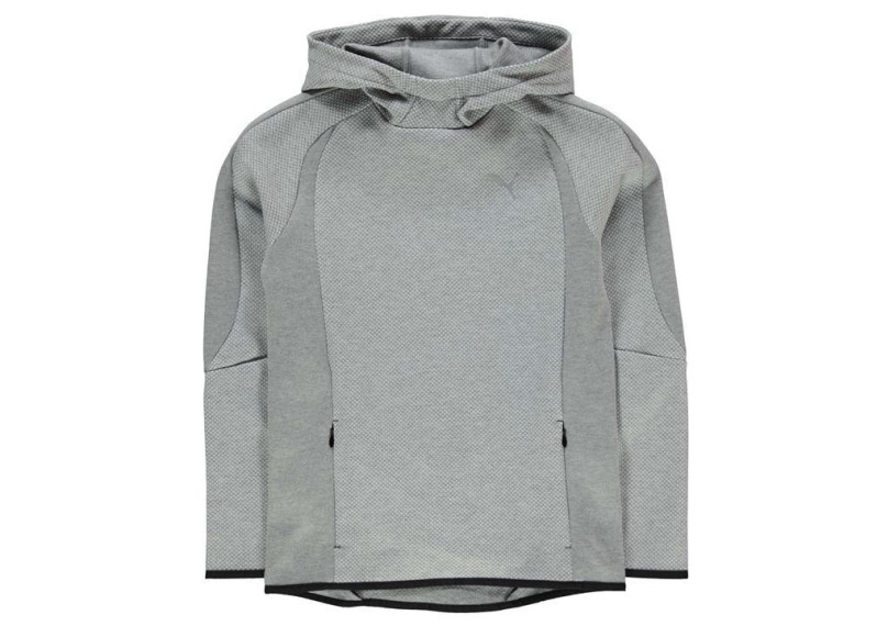 Puma EvoStripe Hoody