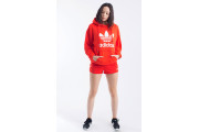 Trefoil Pullover Hoodie