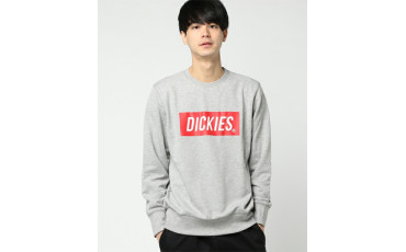 Dickies Logo Trainer