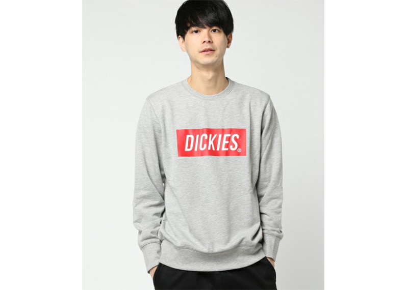 Dickies Logo Trainer