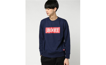 Dickies Logo Trainer