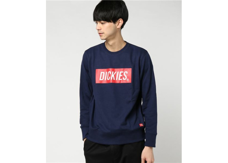 Dickies Logo Trainer