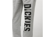 Dickies Jogger 褲