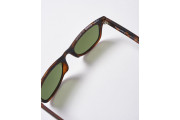 SDR Solent Sunglasses