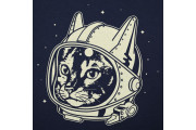 AstroCat