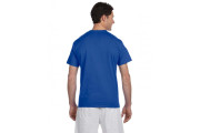 Short Sleeve 6.1 oz Tagless T-Shirt T525C