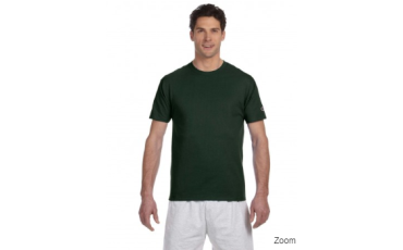 Short Sleeve 6.1 oz Tagless T-Shirt T525C