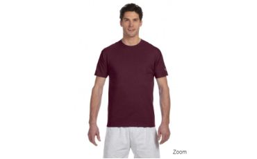 Short Sleeve 6.1 oz Tagless T-Shirt T525C