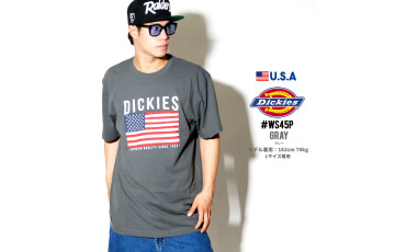 Dickies Relaxed Fit American Flag Graphic Tee