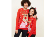 Red Knit 3D Reindeer Christmas Jumper