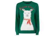 Green Falala Llama Christmas Slogan Jumper