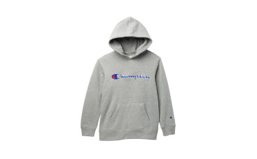 Embroidered Hoodie (Big Boys)