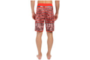 The North Face Whitecap Boardshorts - Fiery Red Moss Stripe