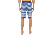 The North Face Whitecap Boardshorts - Limoges Blue Chambray Stripe