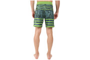 The North Face Whitecap Boardshorts - short - Vibrant Green Moss Stripe