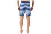 The North Face Whitecap Boardshorts - short - Limoges Blue Chambray Stripe