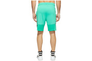 Nike Elite Stripe Basketball Short - Stadium Green/Stadium Green/Black/Black