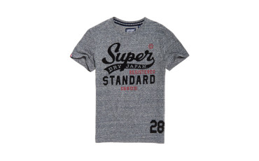 Standard Issue T-shirt - cliff face grey snowy