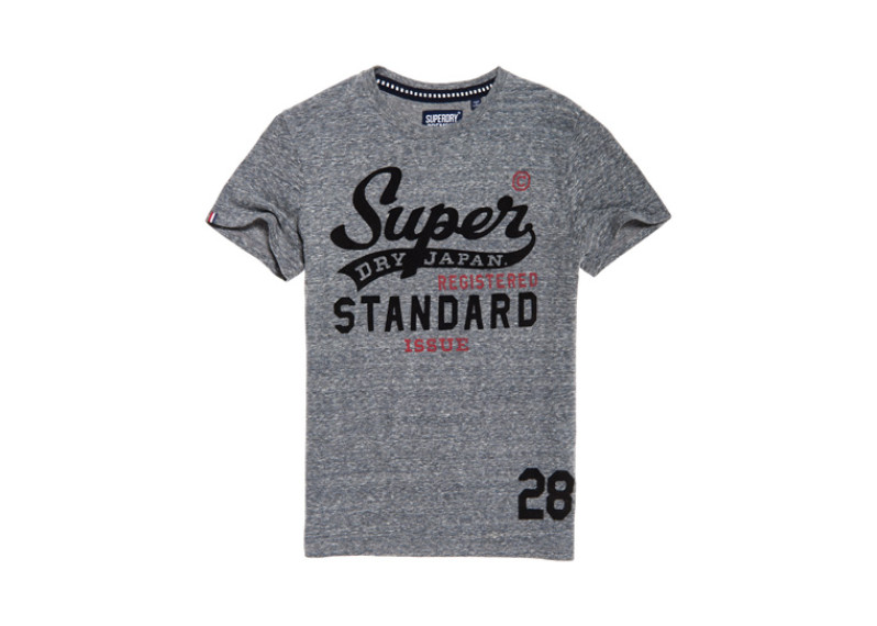 Standard Issue T-shirt - cliff face grey snowy