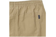 Dickies STRING SHORTS DMM2UPCH982 - PBG