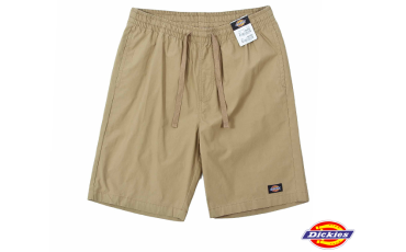 Dickies STRING SHORTS DMM2UPCH982 - PBG