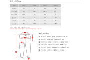 Dickies STRING SHORTS DMM2UPCH982 - PBG