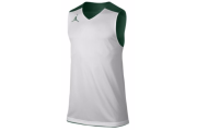 JORDAN TEAM JUMPMAN PRACTICE REVERSIBLE JERSEY - MEN'S - Gorge Green/Silver/Silver