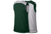 JORDAN TEAM JUMPMAN PRACTICE REVERSIBLE JERSEY - MEN'S - Gorge Green/Silver/Silver