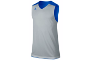 JORDAN TEAM JUMPMAN PRACTICE REVERSIBLE JERSEY - MEN'S - Royal/Silver/Silver