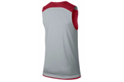 JORDAN TEAM JUMPMAN PRACTICE REVERSIBLE JERSEY - MEN'S - Red/Silver/Silver